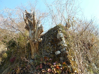 f0308898_19541019.jpg