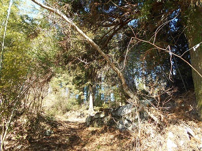 f0308898_19583497.jpg