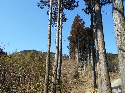 f0308898_20021314.jpg