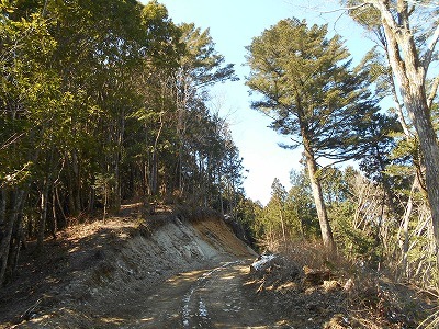 f0308898_20094751.jpg