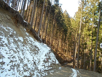 f0308898_20112077.jpg