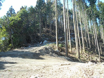f0308898_20112818.jpg