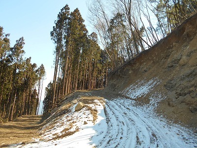 f0308898_20152781.jpg