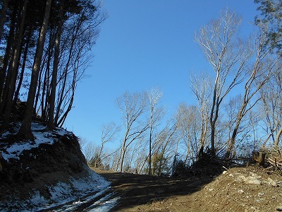 f0308898_20160996.jpg