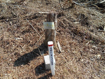 f0308898_20165016.jpg