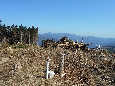 f0308898_20170329.jpg