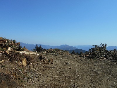 f0308898_20214793.jpg
