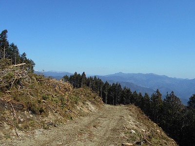 f0308898_20220686.jpg