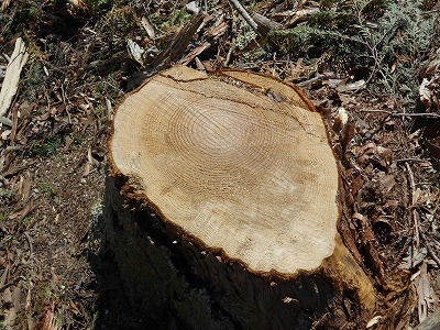 f0308898_20231107.jpg