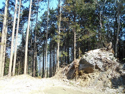 f0308898_20242655.jpg