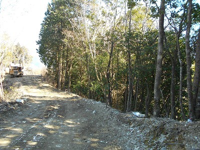 f0308898_20252569.jpg