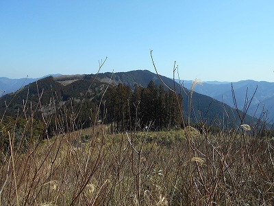 f0308898_20295511.jpg