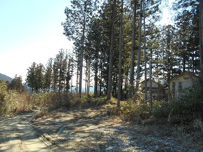f0308898_20303813.jpg