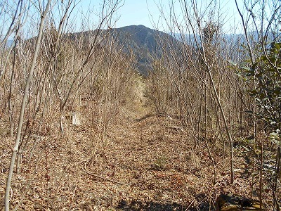 f0308898_20315638.jpg