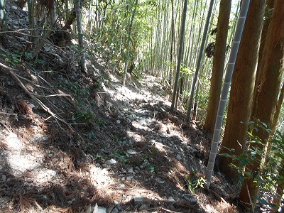 f0308898_20343860.jpg