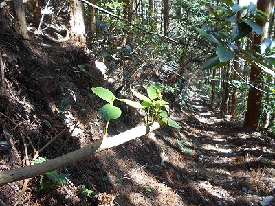 f0308898_20345629.jpg