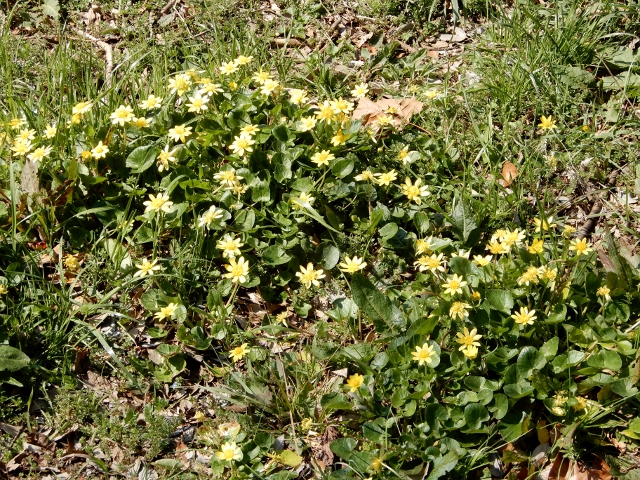 e0025300_1138493.jpg