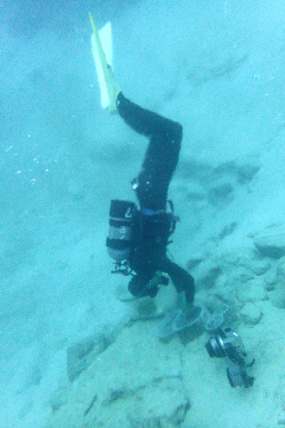 f0121701_237437.jpg