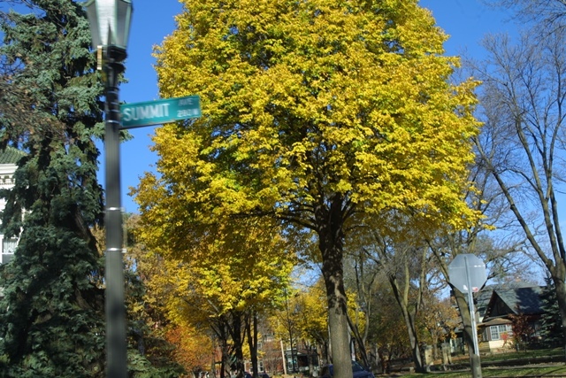 c0062603_04490035.jpg