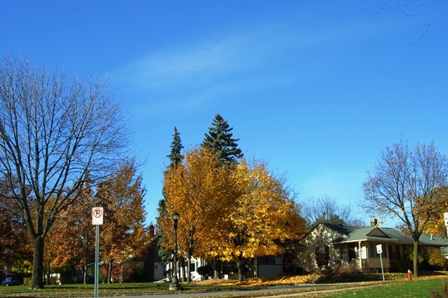 c0062603_04492515.jpg