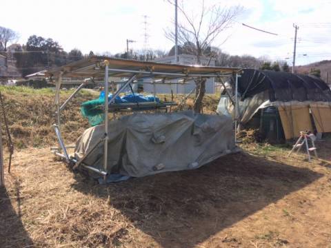 e0270403_13210163.jpg