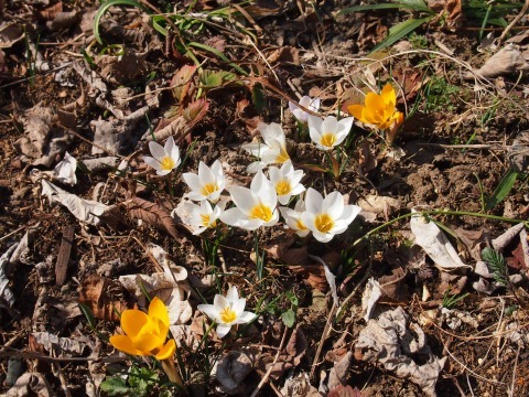 c0117007_20243389.jpg