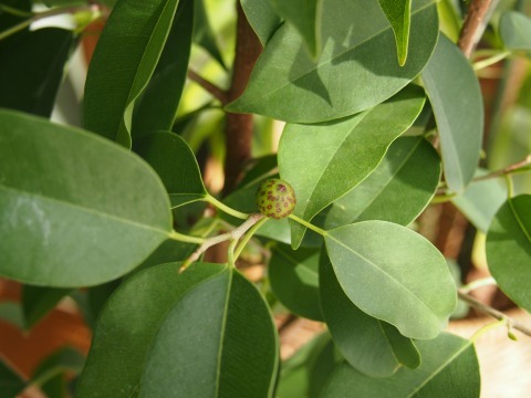 c0117007_20251685.jpg