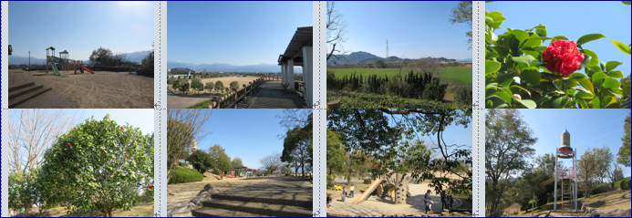 f0231709_10442970.png
