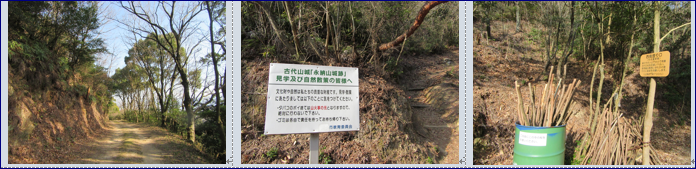 f0231709_2311513.png