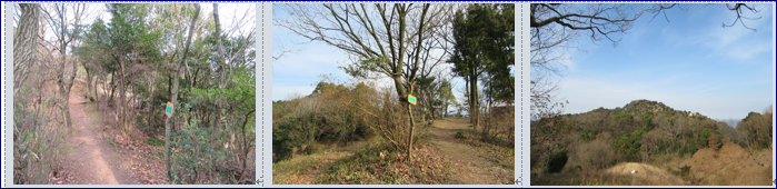 f0231709_23193792.png