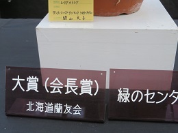 f0325309_13594237.jpg