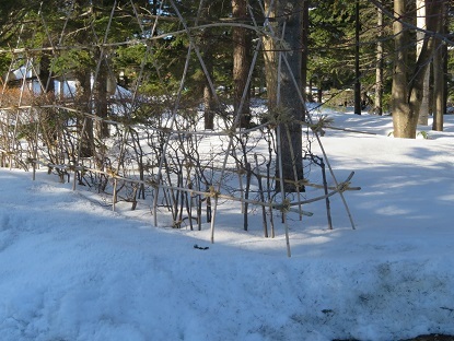 f0325309_14004315.jpg