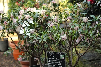 f0325309_14015985.jpg