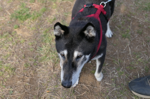 f0369014_09275581.jpg
