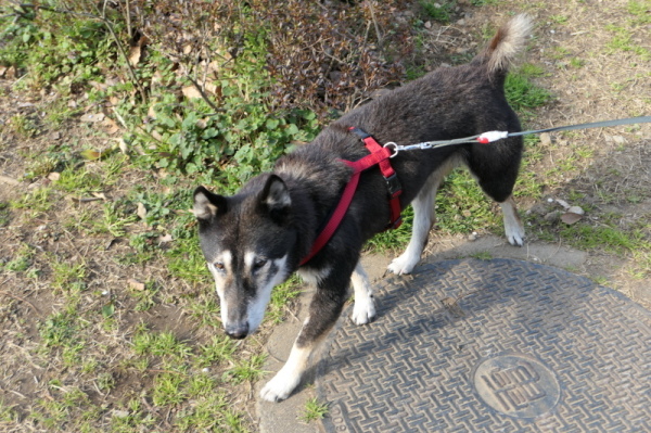 f0369014_09293750.jpg