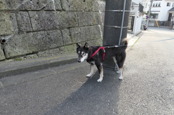 f0369014_09320576.jpg