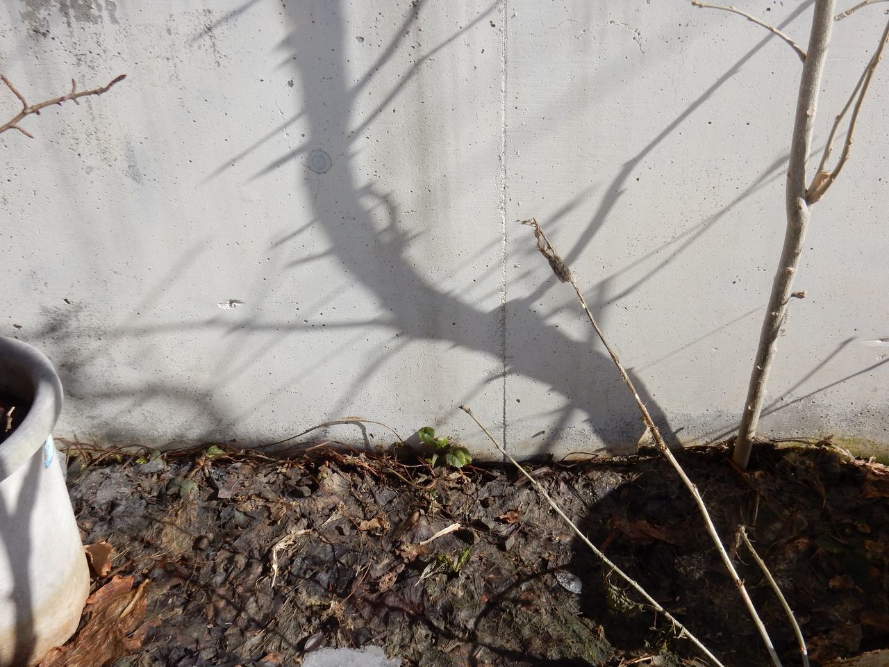 窓を開けて月を撮る_c0025115_21003168.jpg