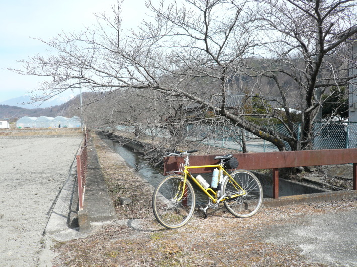 日本三大堰の一つ　山梨県の徳島堰を走りました。_c0335218_19363966.jpg