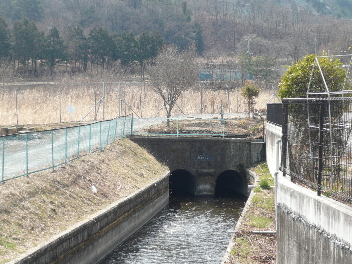 日本三大堰の一つ　山梨県の徳島堰を走りました。_c0335218_19375102.jpg