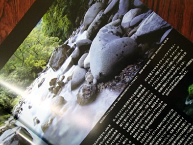 d0212519_21382116.jpg