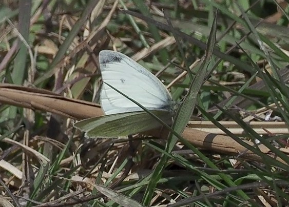 c0369423_17053803.jpg