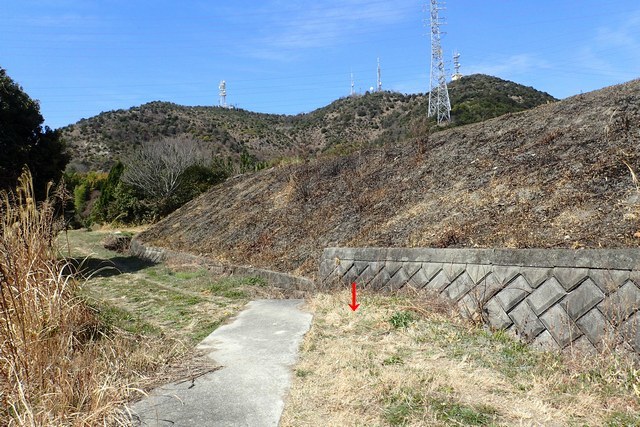 c0369423_17053828.jpg