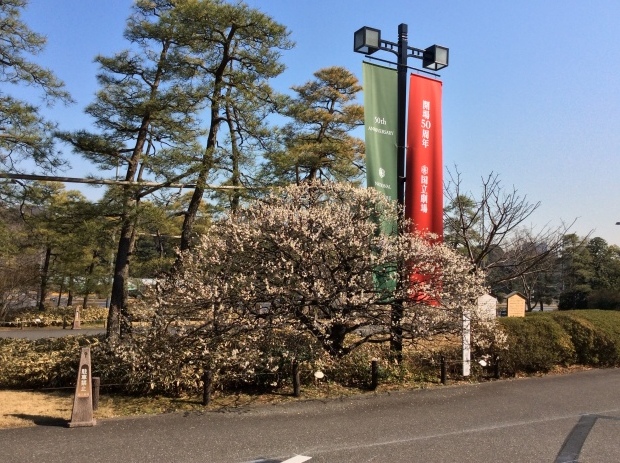 b0057924_21465445.jpg