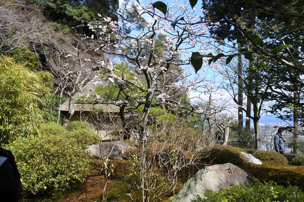 a0099131_23175829.jpg