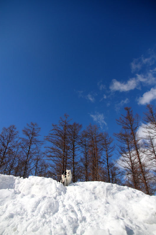 3月12日“春の気配～！”_d0069235_11425442.jpg