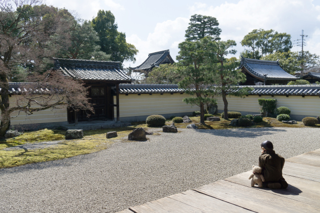 昆布男と” 等持院 ”へ_e0369736_23132078.jpg