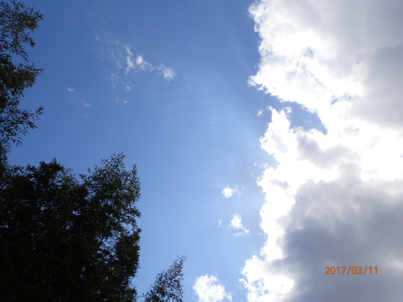 a0343740_00405348.jpg