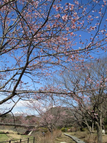 f0117041_06031561.jpg
