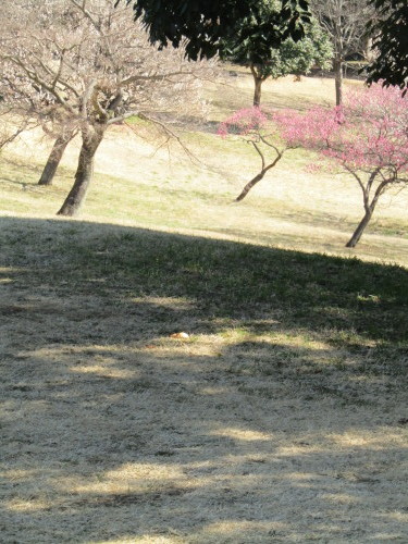 f0117041_06042935.jpg