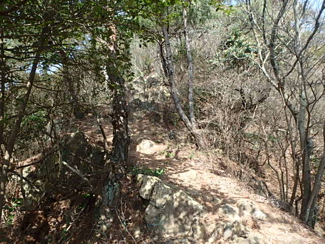 f0334143_212116.jpg